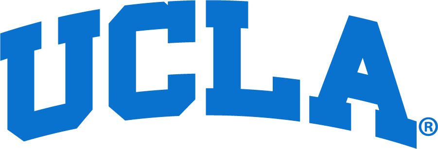 UCLA Bruins 2017-Pres Wordmark Logo v2 iron on transfers for clothing